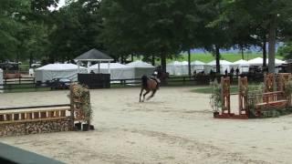 Video of MAITRE D' ridden by AMANDA STEEGE from ShowNet!