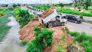 Wonderful show new Project​ Processing 5T Dump truck with MiniDozer pushing soil into water fill up