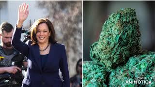 Kamala Harris PechaKucha