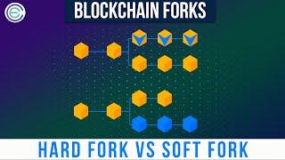 What are Blockchain Forks?  Hard Fork Vs Soft Fork | Cryptela