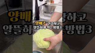 양배추 건강하고 알뜰하게 먹는 방법 3가지#살림