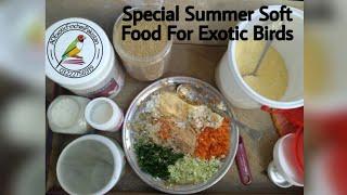 Summer Special Soft Food For Exotic Finches / Parrots | AD Exotic Finches Pakistan