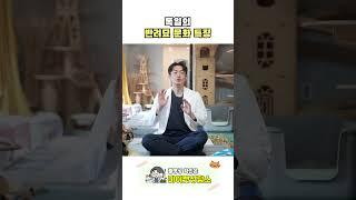 독일은 길냥이를 어떻게 대할까?