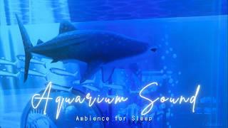 Sleep Aid  12 hours Aquarium ambience | No Music • Animal Crossing Pocket Camp 