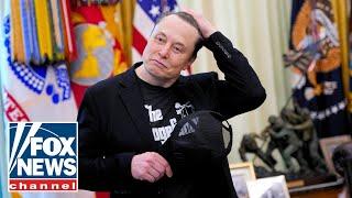 Elon Musk says this 'needs to stop'