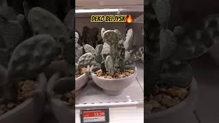 DEKO NEUHEITEN JYSK #jysk #shopping #shopwithme #newvideo #homedecor #decor #home #decoração #haul