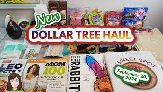 NEW DOLLAR TREE HAUL!  Everything was $1.25! September 20, 2024