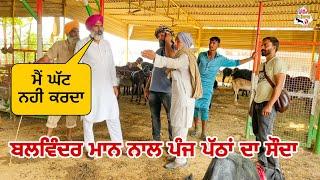 ਬਲਵਿੰਦਰ ਮਾਨ ਨਾਲ ਪੰਜ ਪੱਠਾਂ ਦਾ ਸੌਦਾ । Tungwali bakra mandi | #goat #bakramandi #rajudirba