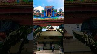 Karthigai 24  9.12.24 Vada Sabari Swamy Ayyappan darshan #ayyappa #youtubeshorts