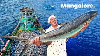 MILLION-FISH HAUL! Insane Mackerel Catch Using Variety Fishing Methods | Day-01|