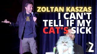 I Can't Tell If My Cat's Sick | Zoltan Kaszas