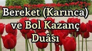 Bereket Duası | Karınca Duası | Bol Rızık Duası | Amin!