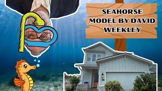 The Seahorse Model | The Seahorse Model By David Weekley Homes