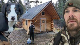 Log Cabin Build on Off-Grid Homestead |EP40| Woodshed, Shou Sugi Fire Preservation