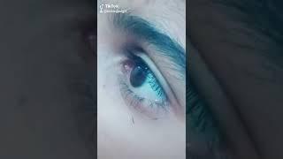 arslan jani gill(6)