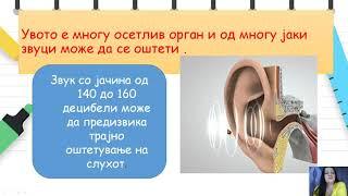 IV одделение - Природни науки - Создавање и мерење на звукот, како патува звукот