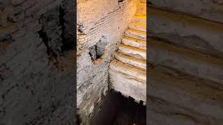 Подземелья (музей) Рима - Викус Капрариус