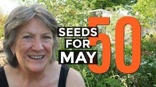 What To Sow in MAY | Get The Most From Your Vegetable Garden (2021)