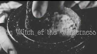 Using Roses In Your Witchcraft || The Witch Of The Wilderness ||