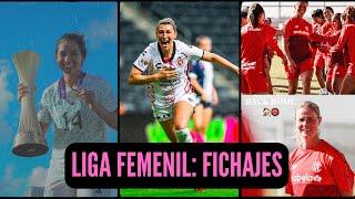  ALTAS, BAJAS Y RUMORES LIGA FEMENIL Parte 5