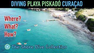 Diving Playa Piskadó Curaçao | The Shore Dive Collection | TropicLens   4K