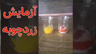 واکنش زردچوبه با تاید (پودر لباسشویی ) #shorts