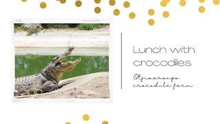 Vlog | Lunch with crocodiles | otjiwarongo crocodile ranch | Vlog | Namibian youtuber