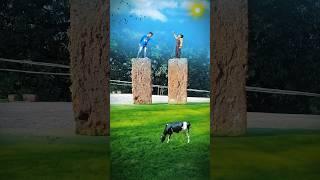 Creative photography ideas  #new #trending #shorts #viralshort #photography #videoedits #yt #funny