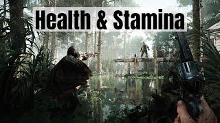 Beginners Guide - Hunt Handbook: Health & Stamina - Hunt: Showdown 1896