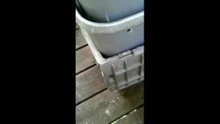 worm composting bin, homemade and simple