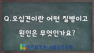 "오십견에 관한 모든것" - 김률 부장 [헬스데이뉴스 인터뷰]