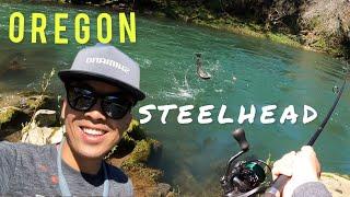 OREGON COASTAL RIVER - STEELHEAD FISHING / 3 STEELHEAD IN ONE HOLE