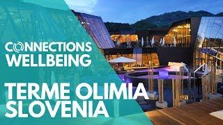 Connections Wellbeing Terme Olimia & Region, Slovenia