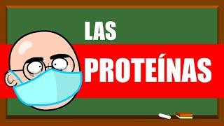 PROTEÍNAS Y AMINOÁCIDOS  UN MES DE CLASES EN 5 MINUTOS !!!