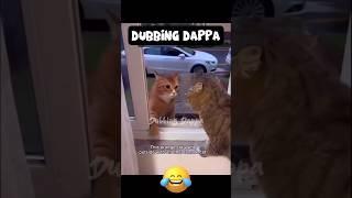 Na than Dating koopiten  || Dubbing Dappa #funny #cat #shorts #comedy #shortsfeed #cats #catlover