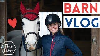 Barn Vlog - A chilled day with the Ponies AD | This Esme