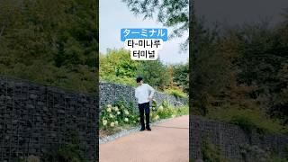 일본어 기초 - 공항 관련 단어 10 (터미널, 환승) #shorts