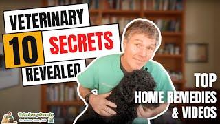 Veterinary Secrets Revealed: Dr Jones' Top 10 Home Remedies and Videos