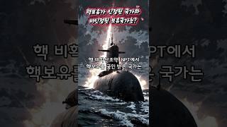 핵보유가 인정된 국가와 미인정된 국가는?