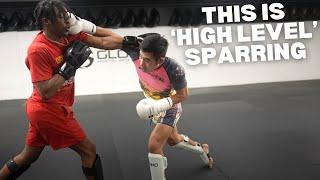 THIS is High Level Sparring! (breakdown)