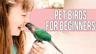 7 Best Pet Birds for Beginners