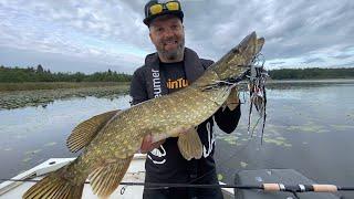 TURBOHAUKIA Pinnasta - Hauenkalastus Pintavieheillä - SpinTube - Hauki - Eumer Fishing