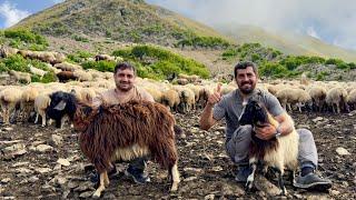 Hearty Goat Stew & Grandma's Cake Recipe | Mountain Life Cooking!