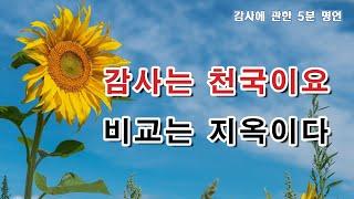 5분 감사명언. "감사는 천국이요, 비교는 지옥이다."