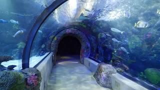 Virtual Walkthrough of the Virginia Aquarium