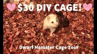 $30 CAGE TOUR! DIY Dwarf hamster basic home