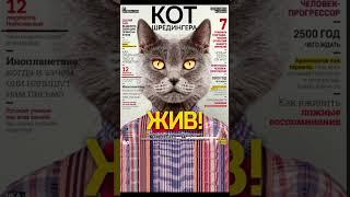В чем заключается парадокс кота Шрёдингера #научпоп #научный