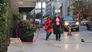 Funny Bushman Prank Compilation 2020!!