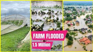 ‼️FLOOD ‼️ A Ghanaian Farmer Losses 1.5 Million Dollars Farm To Floods & Thunder Storm