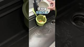 요리 끝나고 음식물 처리 이렇게 쉬웠어?    #쿠팡추천 #생활꿀템 #주방꿀템